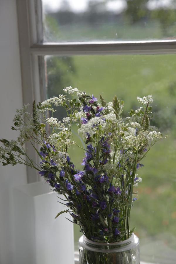 Bed and Breakfast Stora Mellings Gard Klintehamn Exterior foto